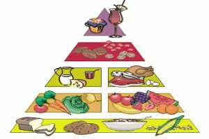Imagen ilustrativa del artículo Aporte de Nutrientes en la Infancia. Vitaminas y minerales